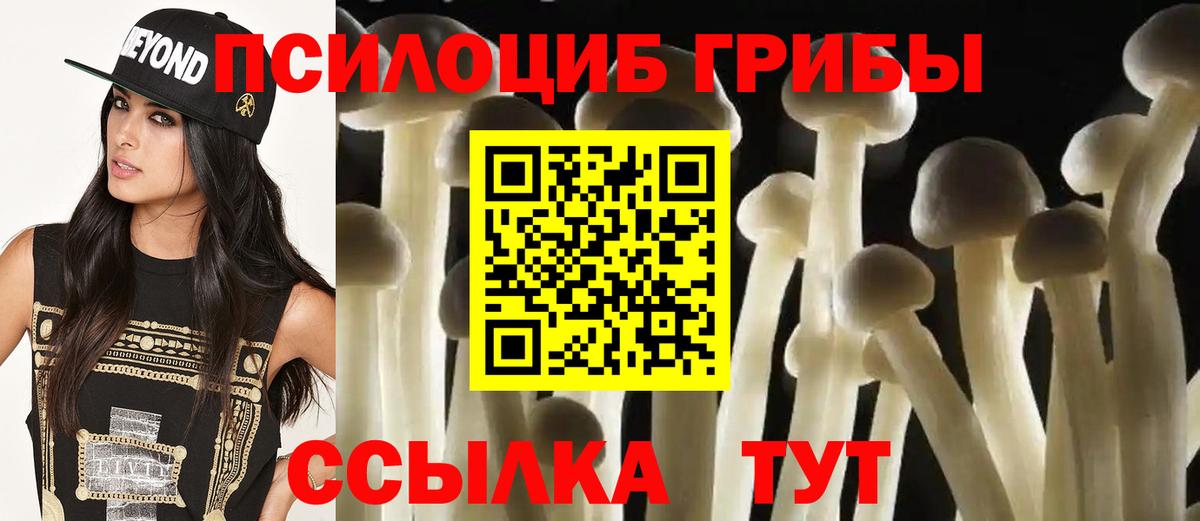 Галлюциногенные грибы Psilocybine cubensis Павловский Посад